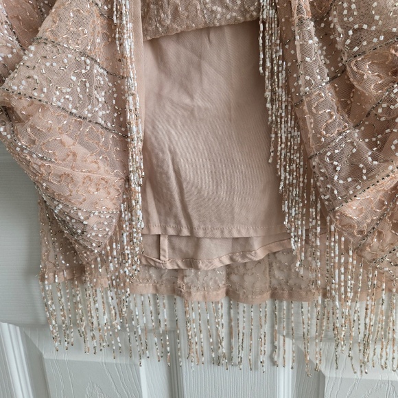 ASOS blush Nude Pink Silver Fringe Beaded Open Back Cocktail Party Mini Dress - Picture 2 of 11